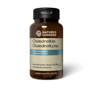 Chondroityna (60 kaps.)