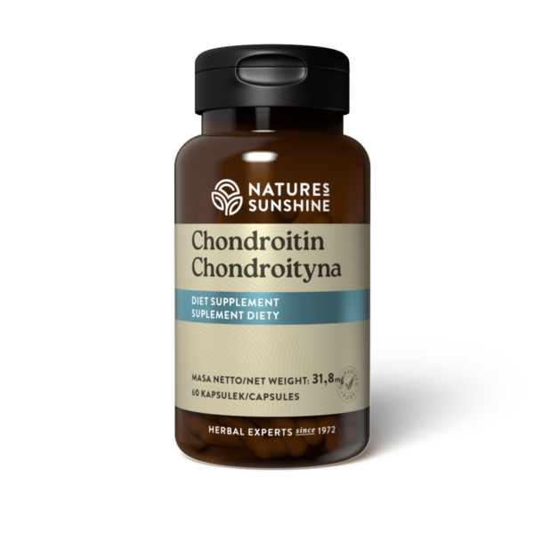 Chondroityna (60 kaps.)